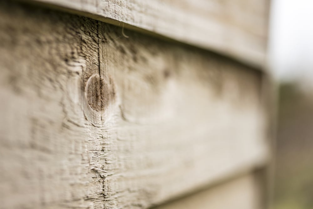Wooden panel showing grain and texture